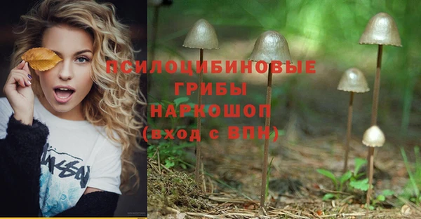бошки Арсеньев