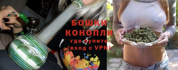 бошки Арсеньев
