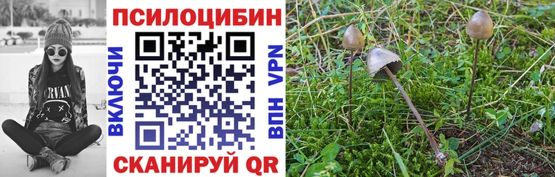 Галлюциногенные грибы мухоморы  Сосновоборск 