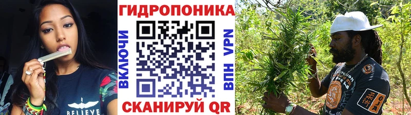 Шишки марихуана планчик  kraken как войти  Сосновоборск 